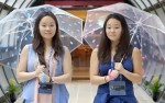 twinsisters