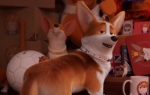 Screen Shot 2019-06-06 at 14.55.19
