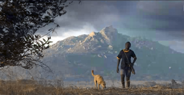 Il ragazzo che catturò il vento - Messaggero dei Ragazzi